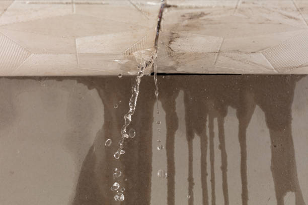 Professional Water Damage Inspection technician working in Kennebec, SD